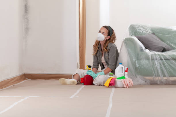 Reliable Mold Testing contractor in Halethorpe, MD by WQB Mold Removal